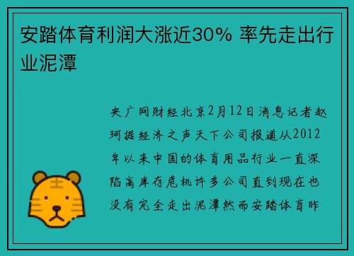 安踏体育利润大涨近30% 率先走出行业泥潭