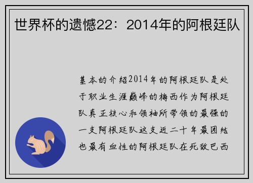 世界杯的遗憾22：2014年的阿根廷队