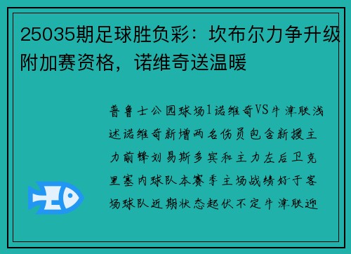 25035期足球胜负彩：坎布尔力争升级附加赛资格，诺维奇送温暖