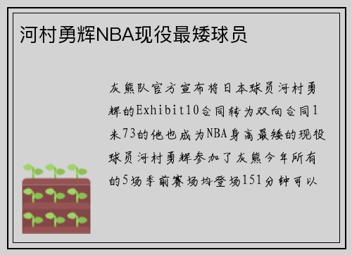 河村勇辉NBA现役最矮球员